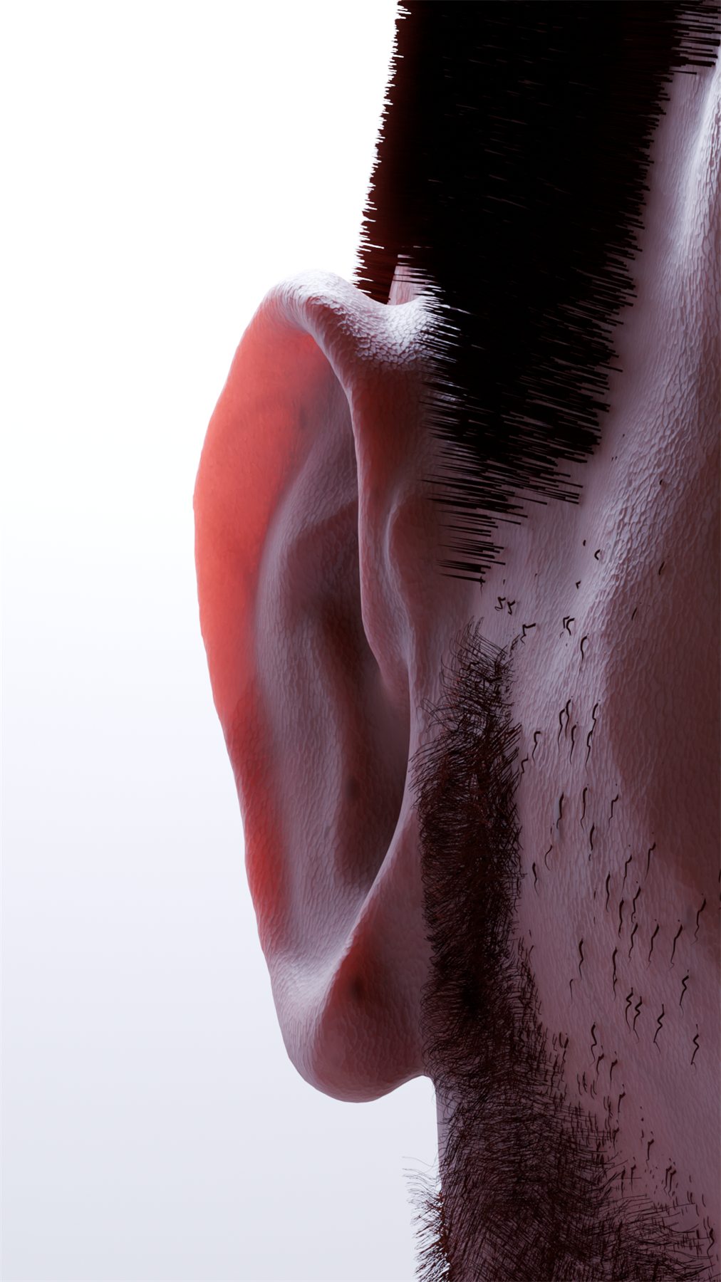 Close view of the ear, with individual hair strands and stubble around it
