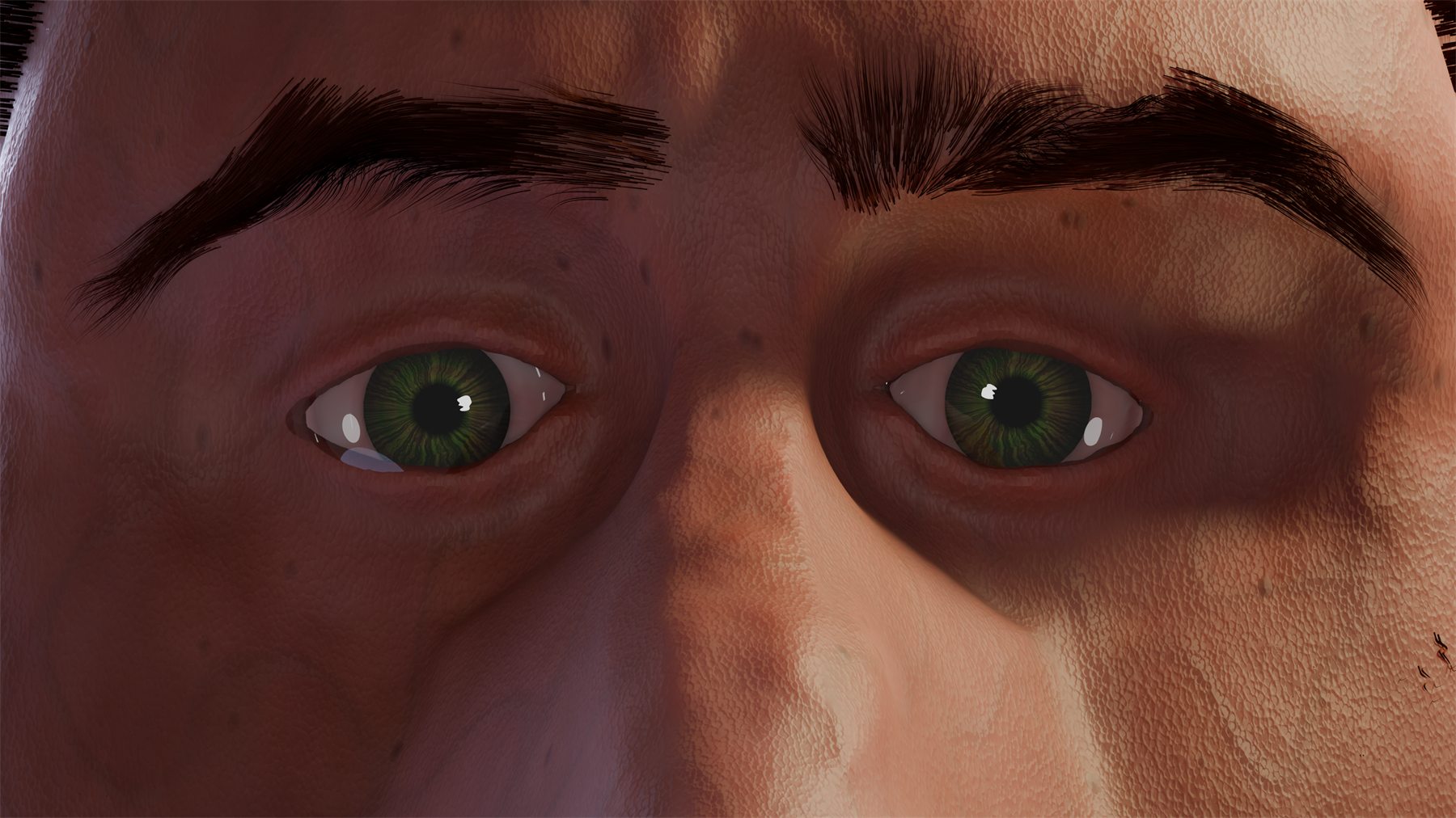 A second close view of the eyes from a slightly different angle