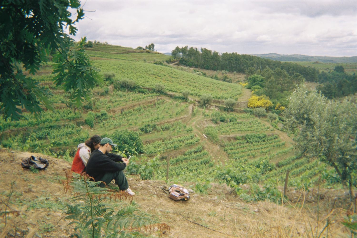 Two people sitting at the top of the Douro vineyard terraces, drawing
